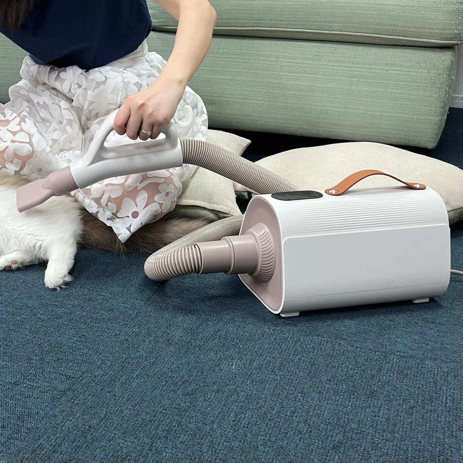 1700W Power 4 IN 1 Pet Grooming Dryer Handheld Blaster