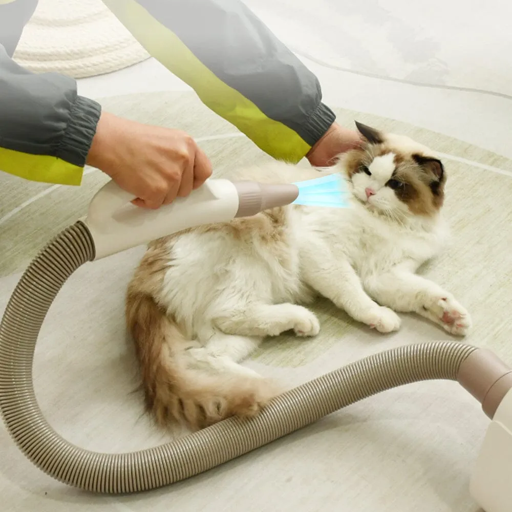 1700W Power 4 IN 1 Pet Grooming Dryer Handheld Blaster