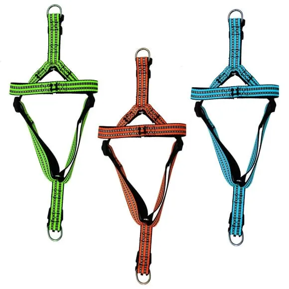 Adjustable Reflective Dog Harness, Assorted Colors, Up to 25 lbs