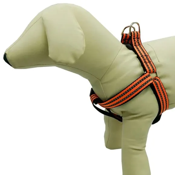 Adjustable Reflective Dog Harness, Assorted Colors, Up to 25 lbs