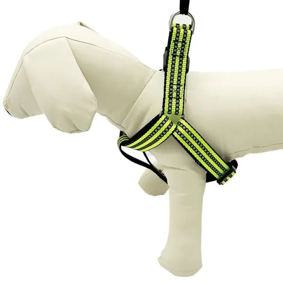 Adjustable Reflective Dog Harness, Assorted Colors, Up to 25 lbs