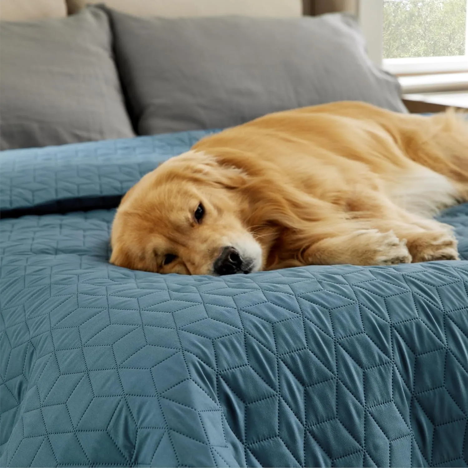 Bedsure 100% Waterproof Bed Cover for Dogs Washable - Non Slip Waterproof Dog Blanket for Bed, Lightweight Furniture Protector Durable for Pet Cat Puppy with Non-Slip Bottom, Blue, 68x82IN