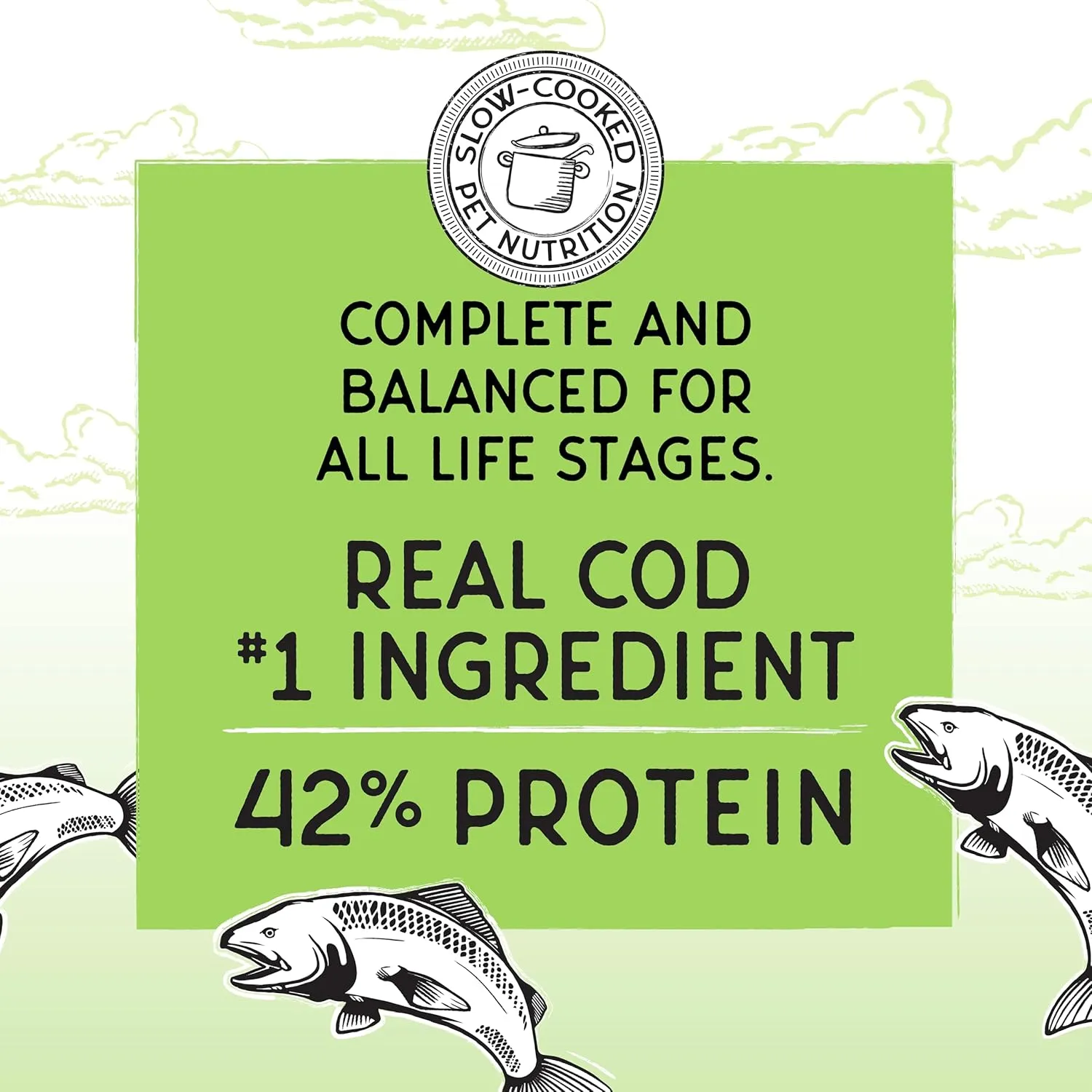 Blackwood Bounty Dry Cat Food, Whitefish & Lentil Recipe for All Life Stages, 2 Pound Bag, High Protein, Grain Free