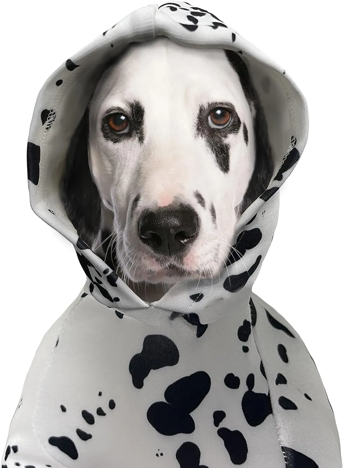 Dog Dalmatian Costume Dalmatian Print Dog Hoodie Pet Clothes Sweaters, Dog Sweater Hoodie Sweatshirts Pullover Cat Jackets Soft Cotton Coat for Large Medium Small Dogs Boy Girl (X-Large)