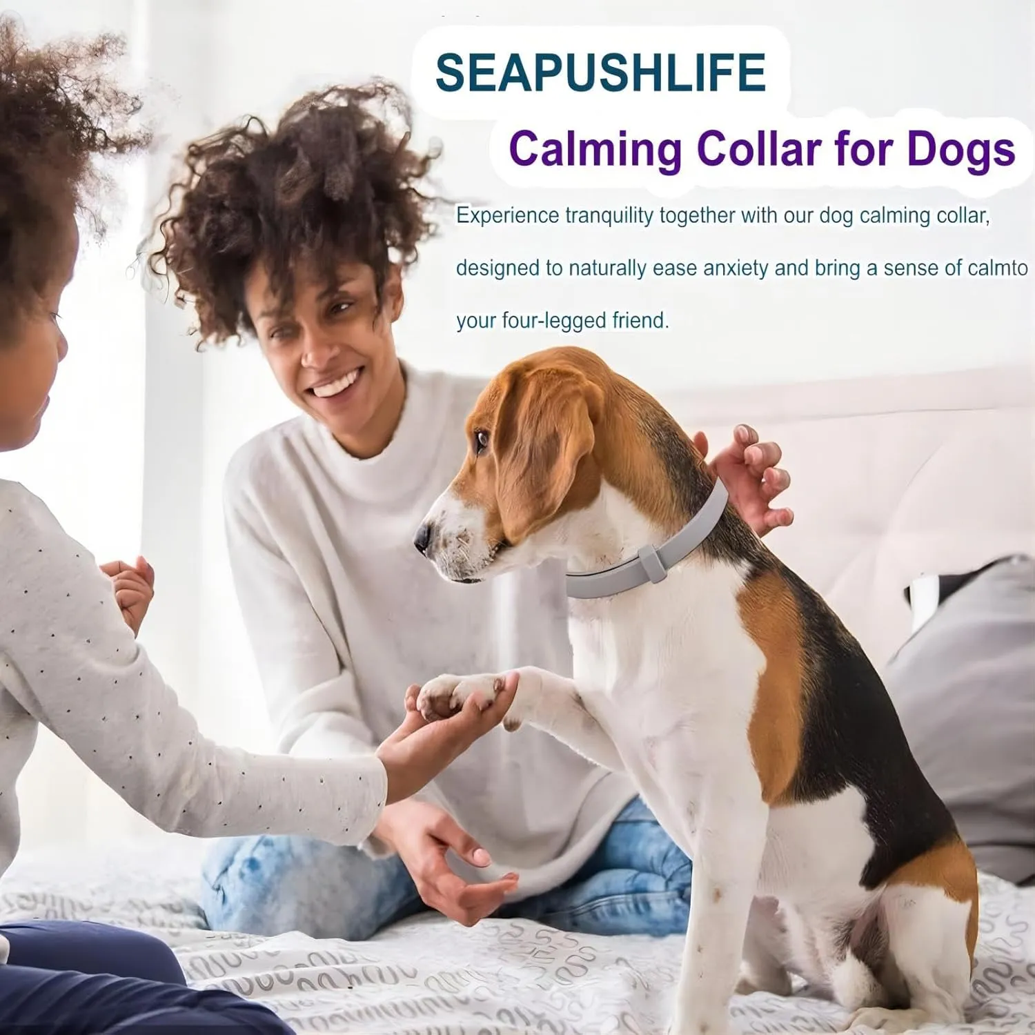 Dogs Calming Pheromones Collar 3 Packs Waterproof Lasts 60 Days Relieve Reduce Anxiety or Stress 25 Inches Adjustable Relaxing Comfortable Collar Breakaway Design for All Small Medium and Large Dog