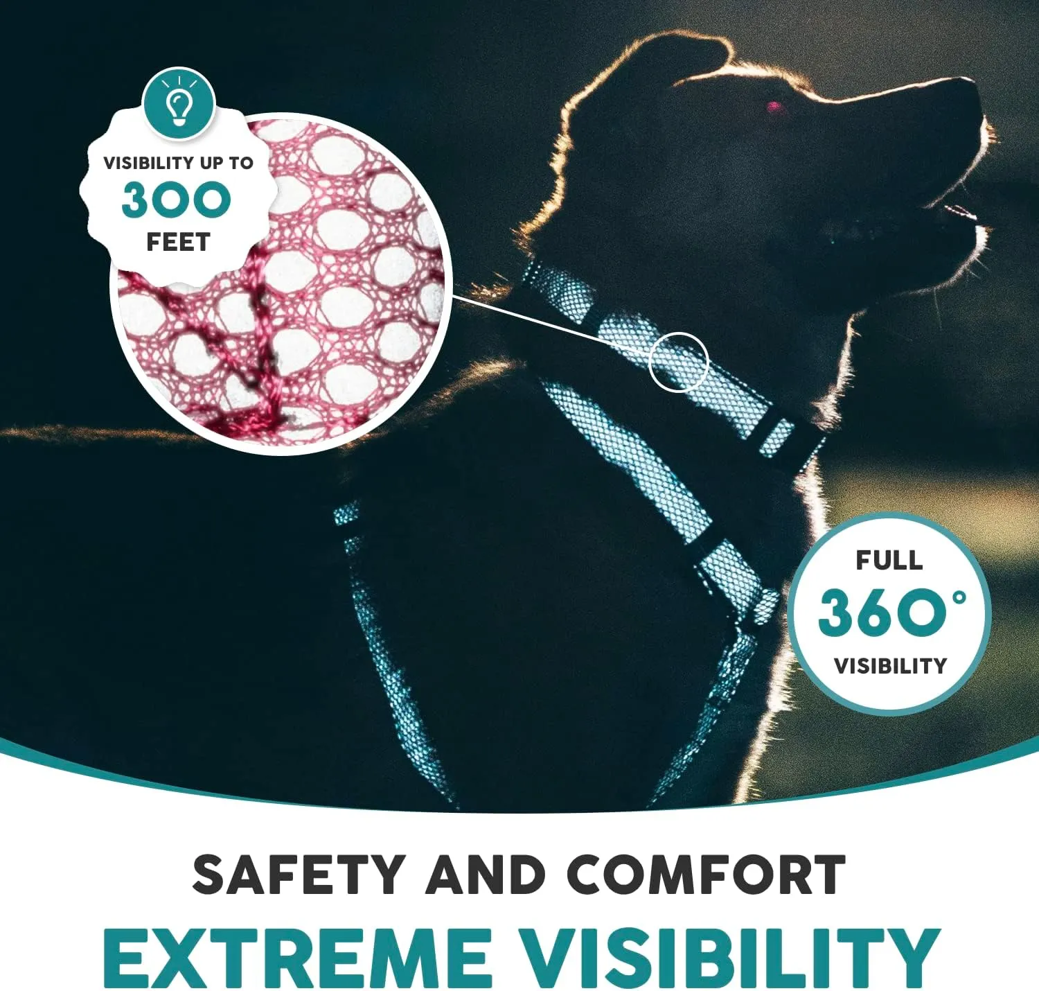 Embark Illuminate Reflective Dog Collar For Medium DogsAdjustable Padded Dog Collars With Buckle Made with Nylon Reflective Material to Make Your Dog Collar Visible at Night Medium Dog Collar (Pink)