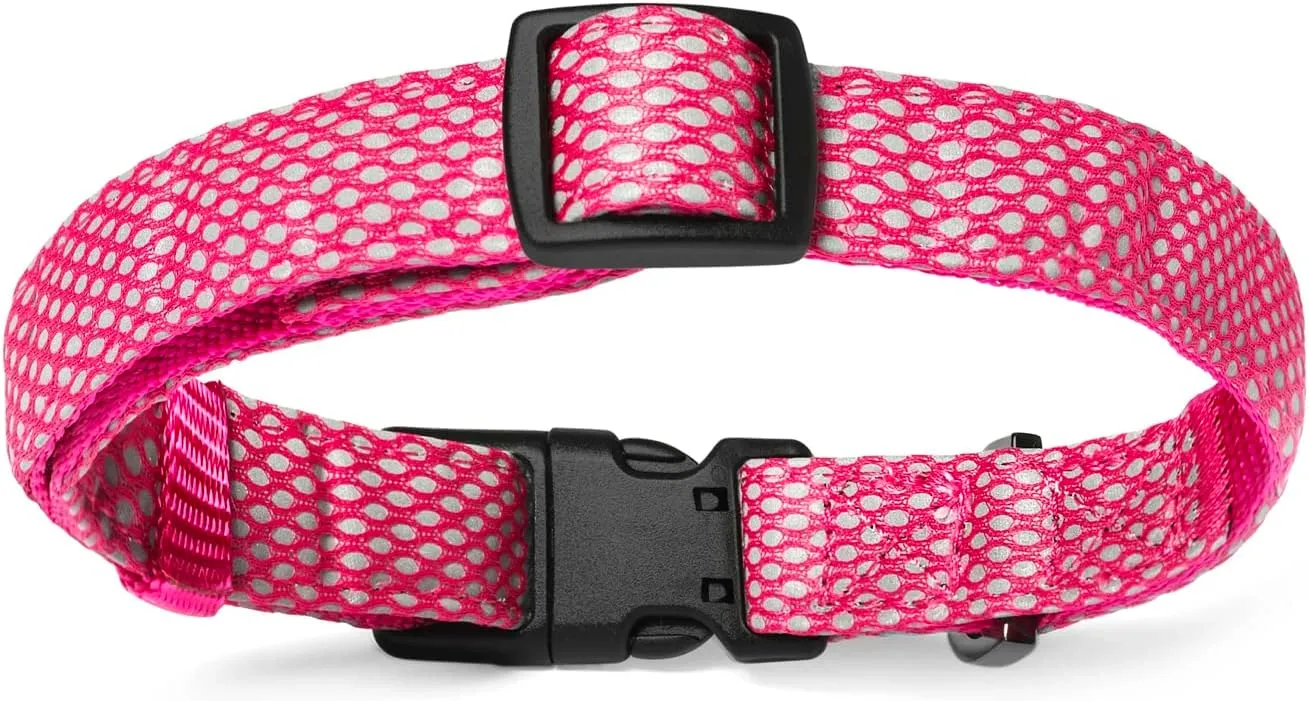 Embark Illuminate Reflective Dog Collar For Medium DogsAdjustable Padded Dog Collars With Buckle Made with Nylon Reflective Material to Make Your Dog Collar Visible at Night Medium Dog Collar (Pink)
