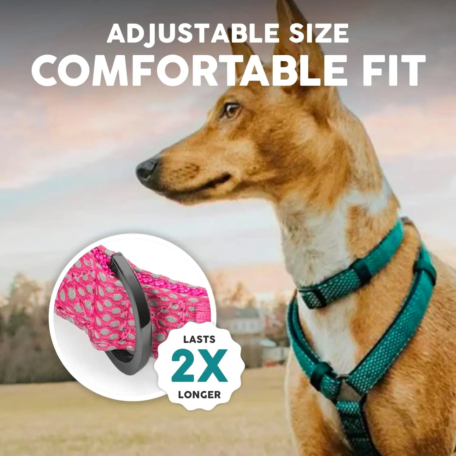 Embark Illuminate Reflective Dog Collar For Medium DogsAdjustable Padded Dog Collars With Buckle Made with Nylon Reflective Material to Make Your Dog Collar Visible at Night Medium Dog Collar (Pink)