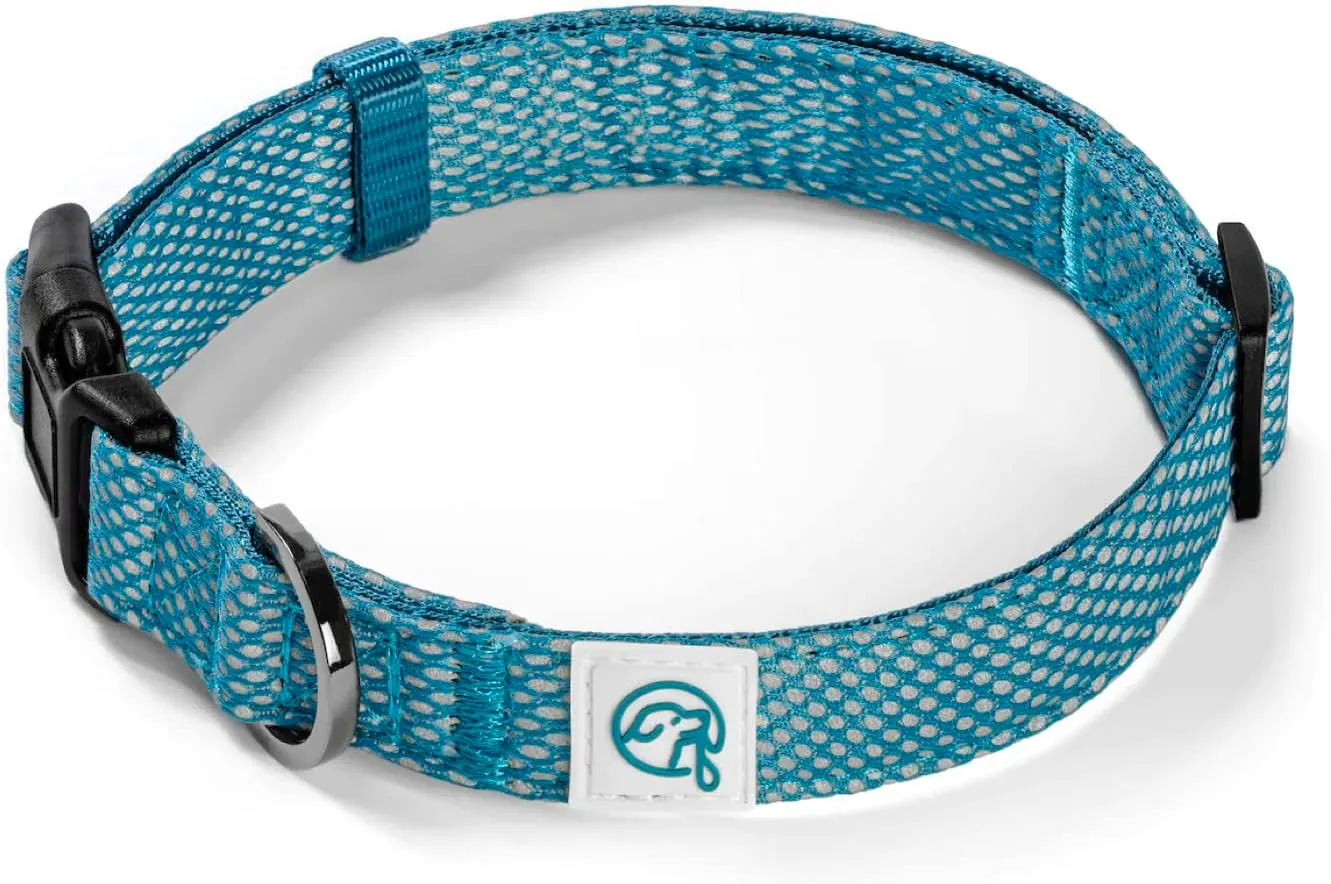 Embark Illuminate Reflective Dog Collar For Small Dogs Adjustable Padded Dog Collars With Buckle Made with Nylon Reflective Material to Make Your Dog Collar Visible at Night  Small Dog Collar (Blue)