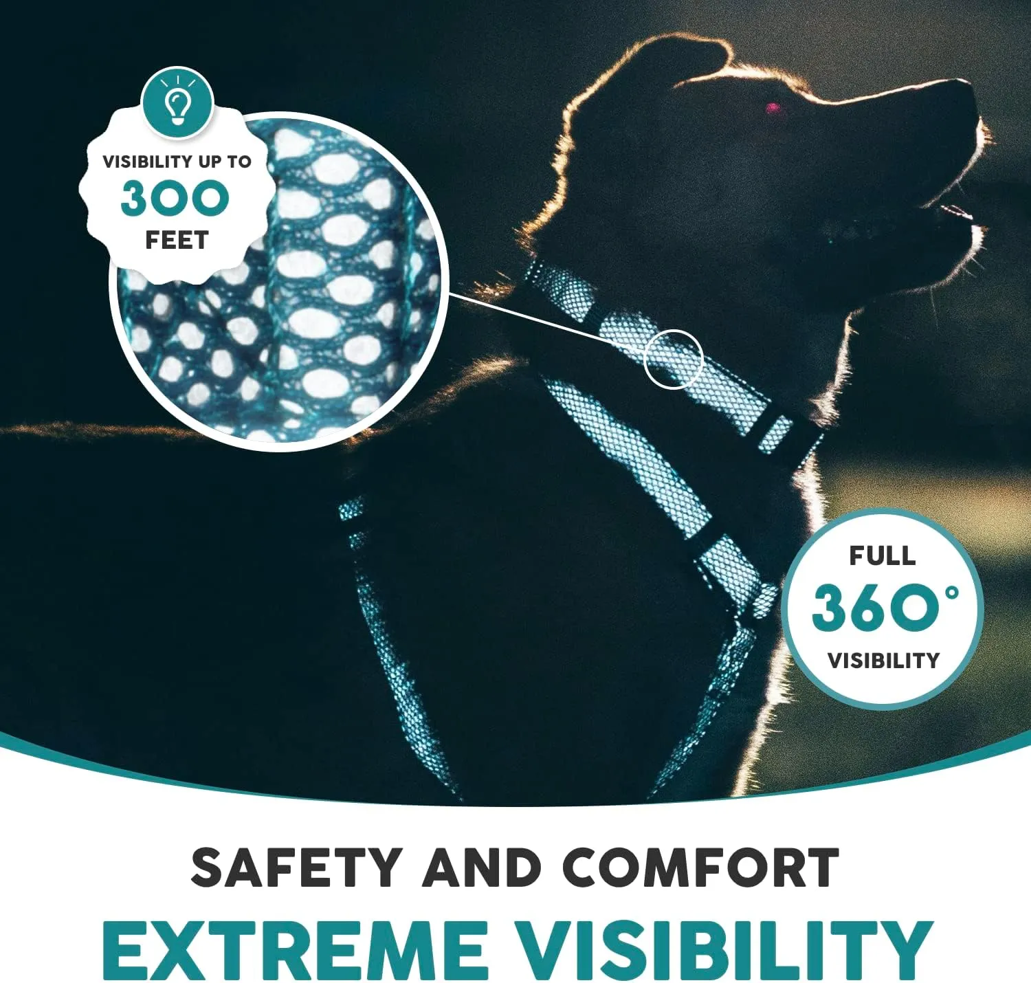 Embark Illuminate Reflective Dog Collar For Small Dogs Adjustable Padded Dog Collars With Buckle Made with Nylon Reflective Material to Make Your Dog Collar Visible at Night  Small Dog Collar (Blue)