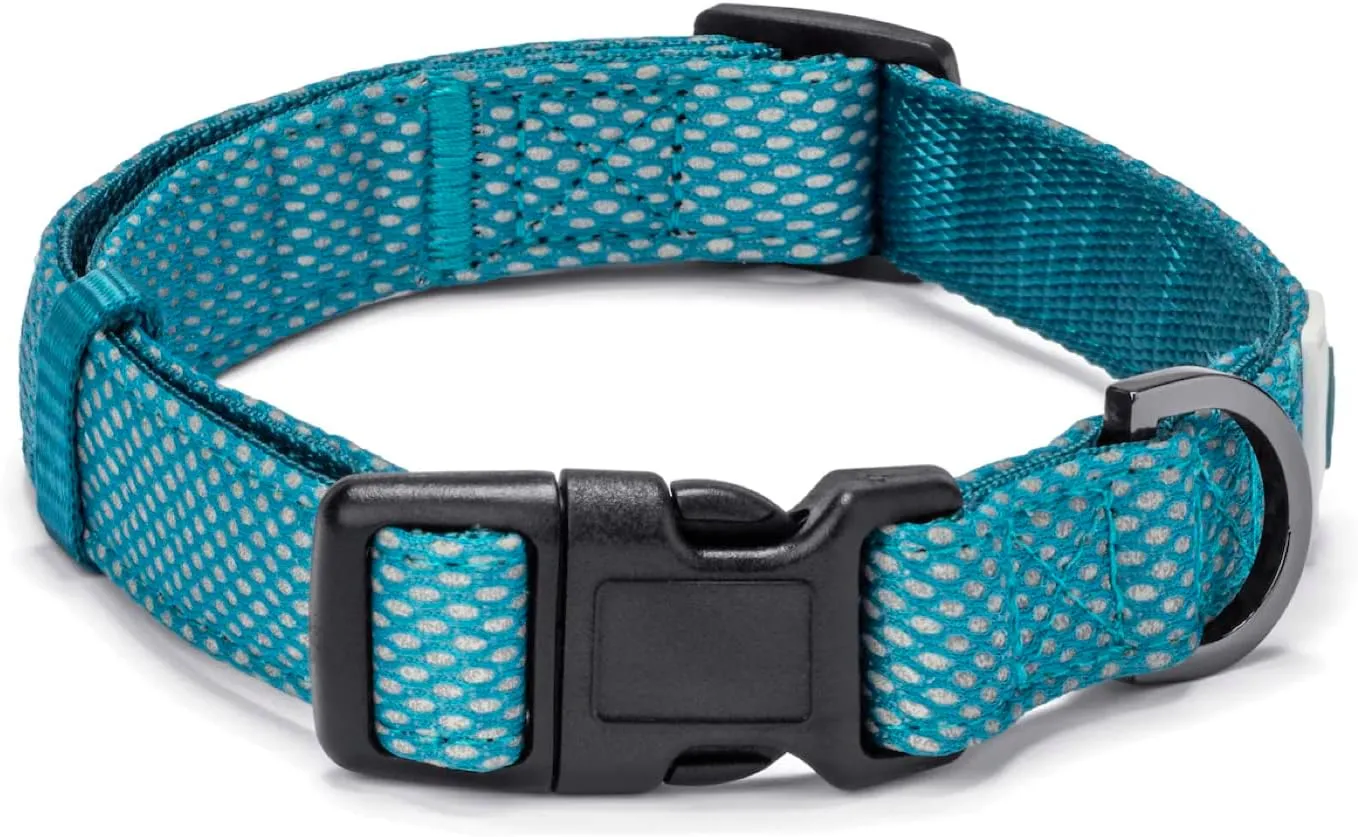 Embark Illuminate Reflective Dog Collar For Small Dogs Adjustable Padded Dog Collars With Buckle Made with Nylon Reflective Material to Make Your Dog Collar Visible at Night  Small Dog Collar (Blue)