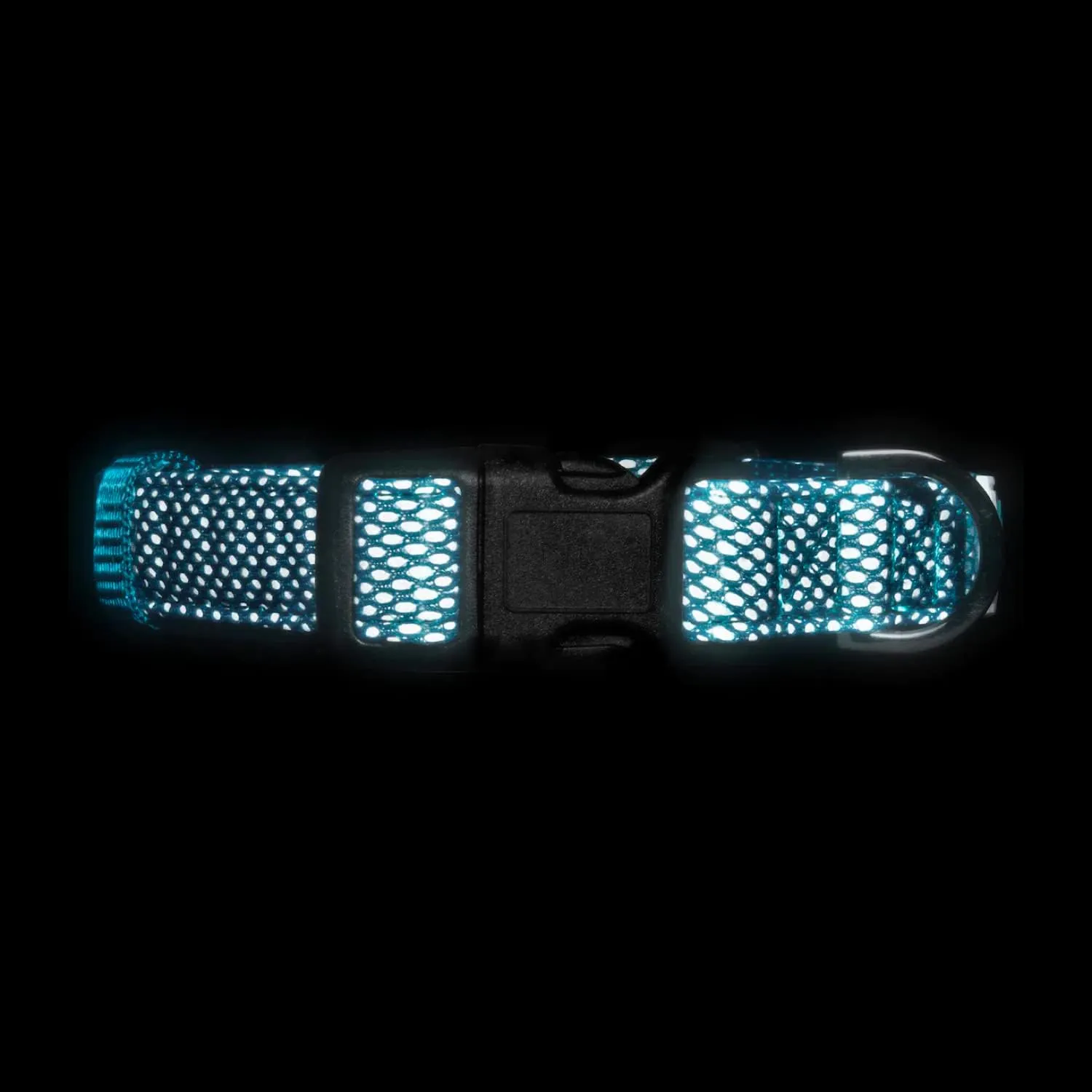 Embark Illuminate Reflective Dog Collar For Small Dogs Adjustable Padded Dog Collars With Buckle Made with Nylon Reflective Material to Make Your Dog Collar Visible at Night  Small Dog Collar (Blue)