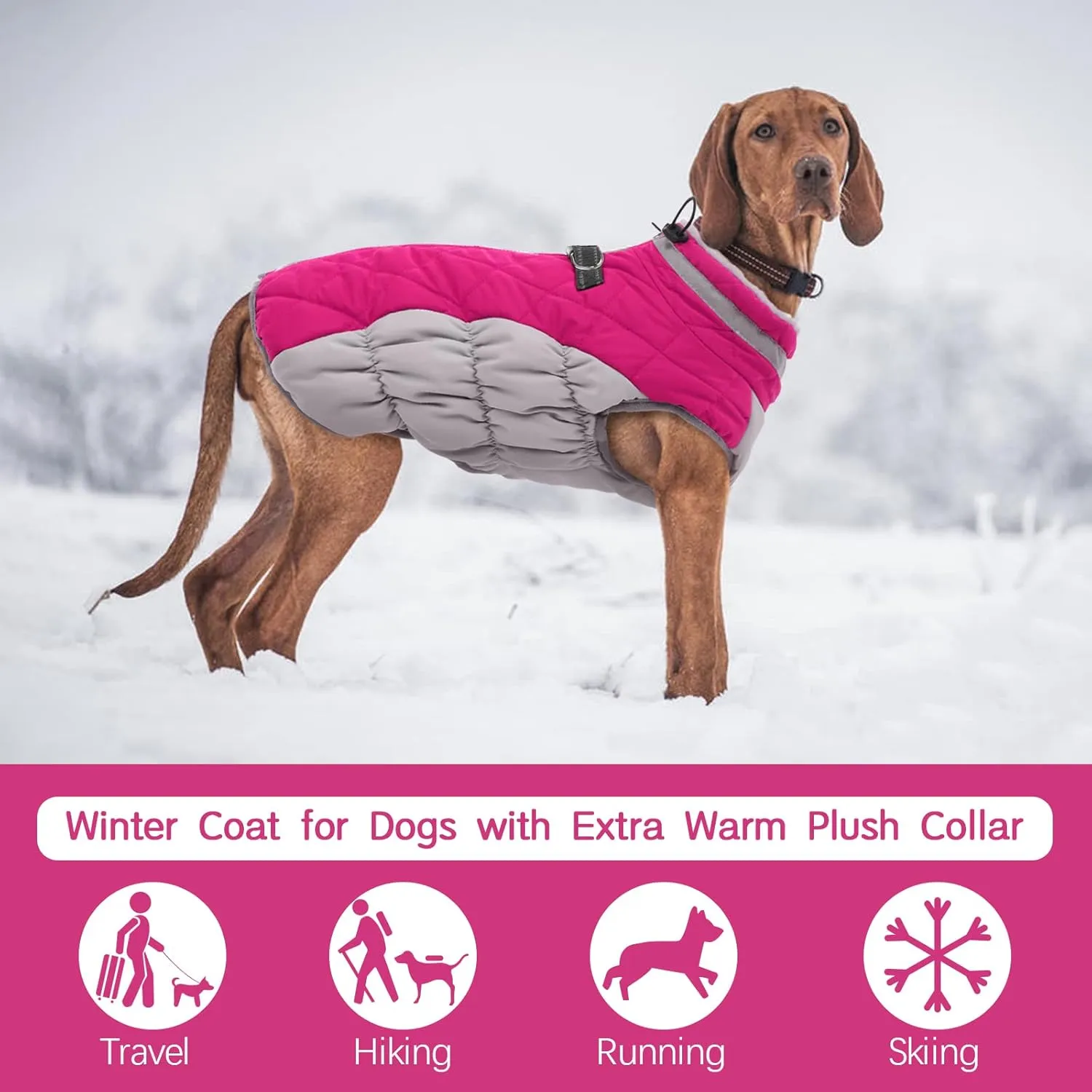 FUAMEY Dog Coat - Warm Winter Jacket with Padded Fleece, Reflective, Waterproof & Windproof, Built-in Harness, Rose Red, Small