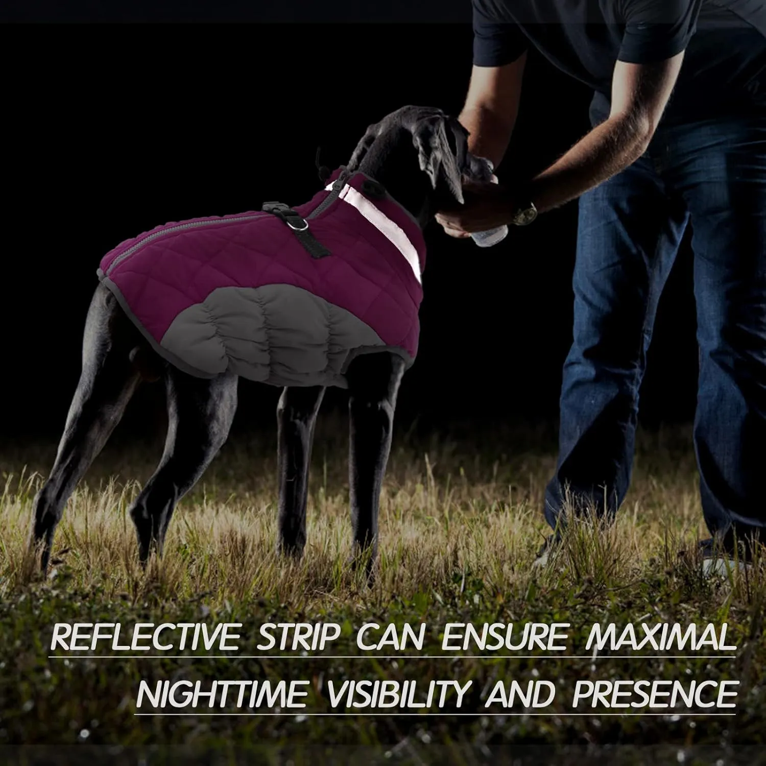 FUAMEY Dog Coat - Warm Winter Jacket with Padded Fleece, Reflective, Waterproof & Windproof, Built-in Harness, Rose Red, Small