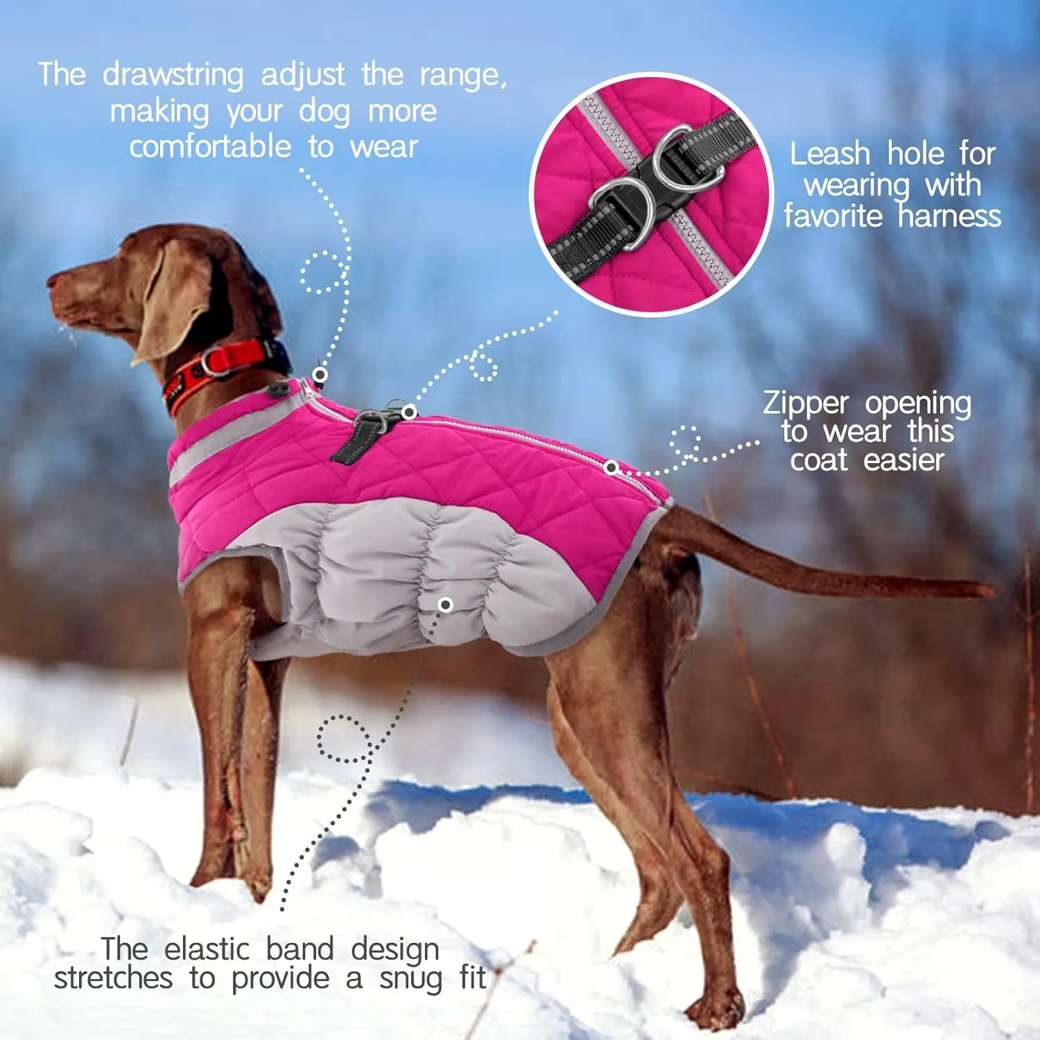 FUAMEY Dog Coat - Warm Winter Jacket with Padded Fleece, Reflective, Waterproof & Windproof, Built-in Harness, Rose Red, Small