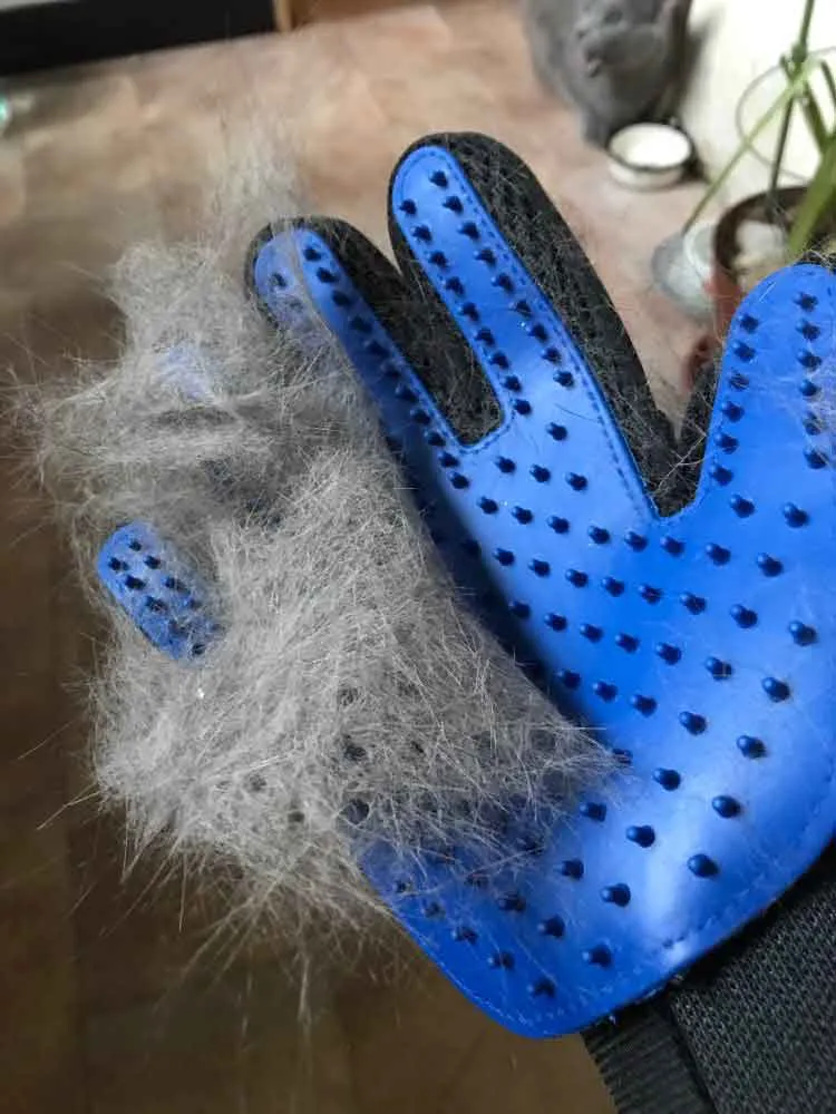 Gentle Grooming Dog Glove