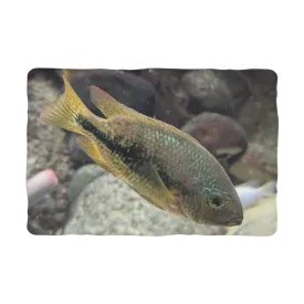 Green Orange Fish Sublimation Pet Blanket