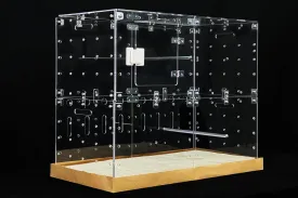 GuineaLoft Acrylic Cage (Model-E)  Multi-Level 2x1ft Enclosed Cage for Birds, Guinea Pigs, Chinchillas, Small Animals, Connectable, DIY Extendable - Visit The Guinea Loft Store to See It All