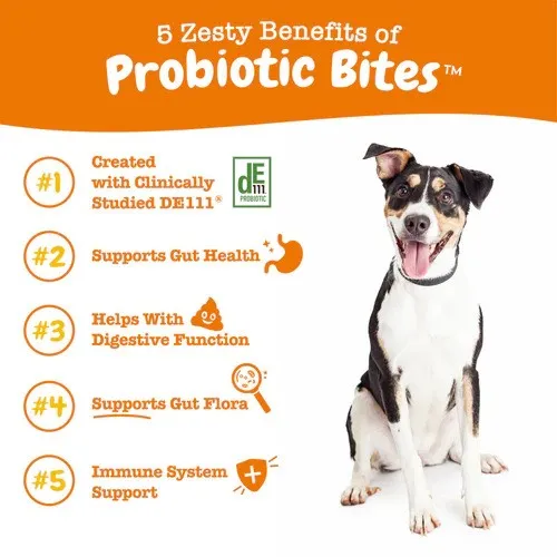 Gut Health Probiotic Bites - Probiotic Bites Chicken Flavor Soft Chews For Dogs - Jar