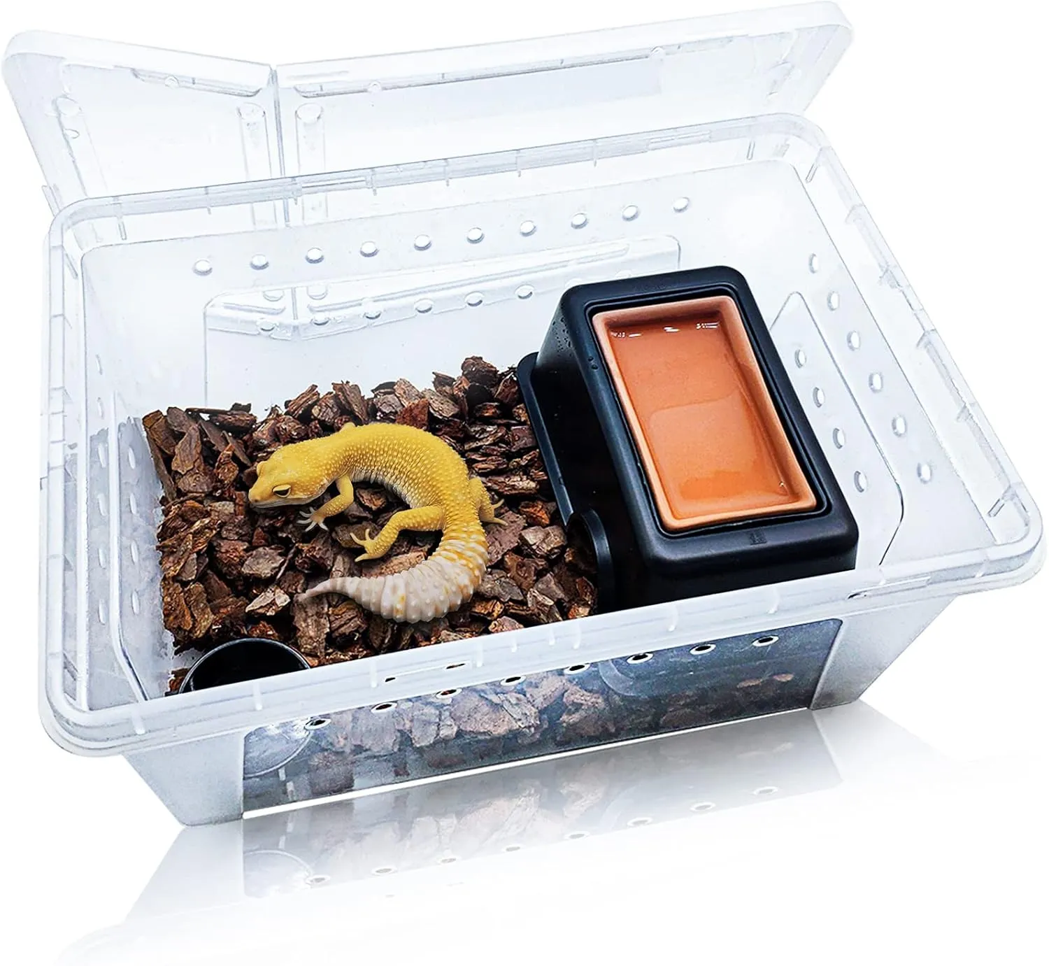 Hamiledyi Reptile Breeding Box Set Portable Gecko Feeding Hatching Container Small Snake Terrarium Habitat Transparent Plastic House for Mini Pet Turtle Tarantula Scorpion Lizard Spider Hideout