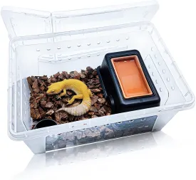 Hamiledyi Reptile Breeding Box Set Portable Gecko Feeding Hatching Container Small Snake Terrarium Habitat Transparent Plastic House for Mini Pet Turtle Tarantula Scorpion Lizard Spider Hideout