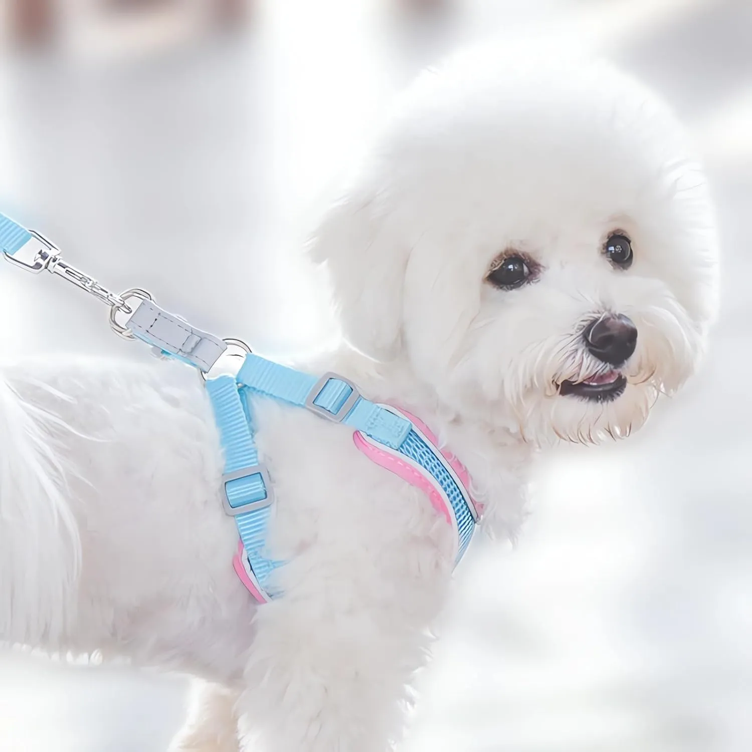 Harness Small Size Dog and Leash Set, Adjustable Reflective No Pull Step-in Dog Harness with Thickened Padded Vest for Extra-Small/Small Medium Large Dogs and Cats (Pink, S)