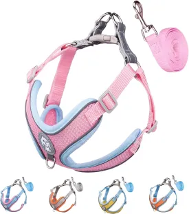 Harness Small Size Dog and Leash Set, Adjustable Reflective No Pull Step-in Dog Harness with Thickened Padded Vest for Extra-Small/Small Medium Large Dogs and Cats (Pink, S)
