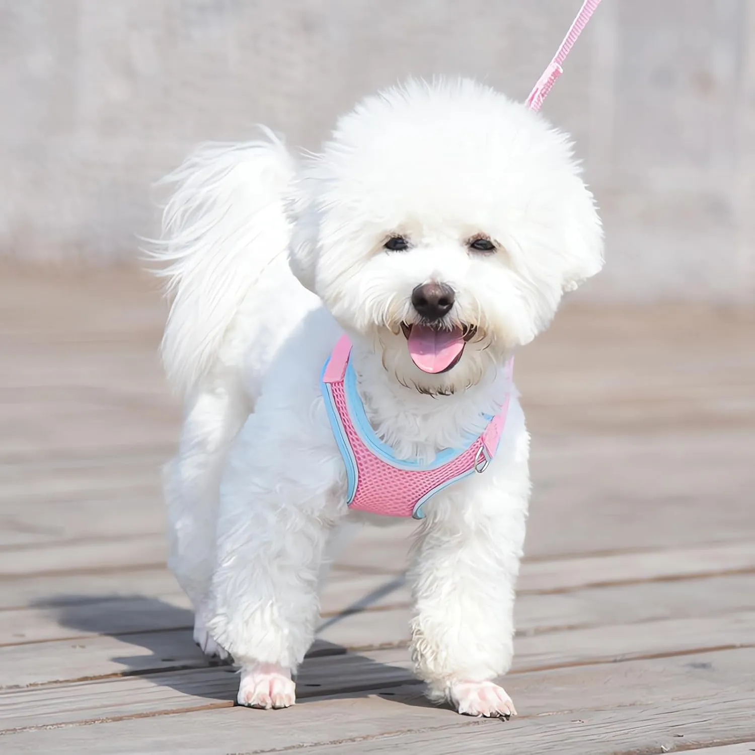 Harness Small Size Dog and Leash Set, Adjustable Reflective No Pull Step-in Dog Harness with Thickened Padded Vest for Extra-Small/Small Medium Large Dogs and Cats (Pink, S)