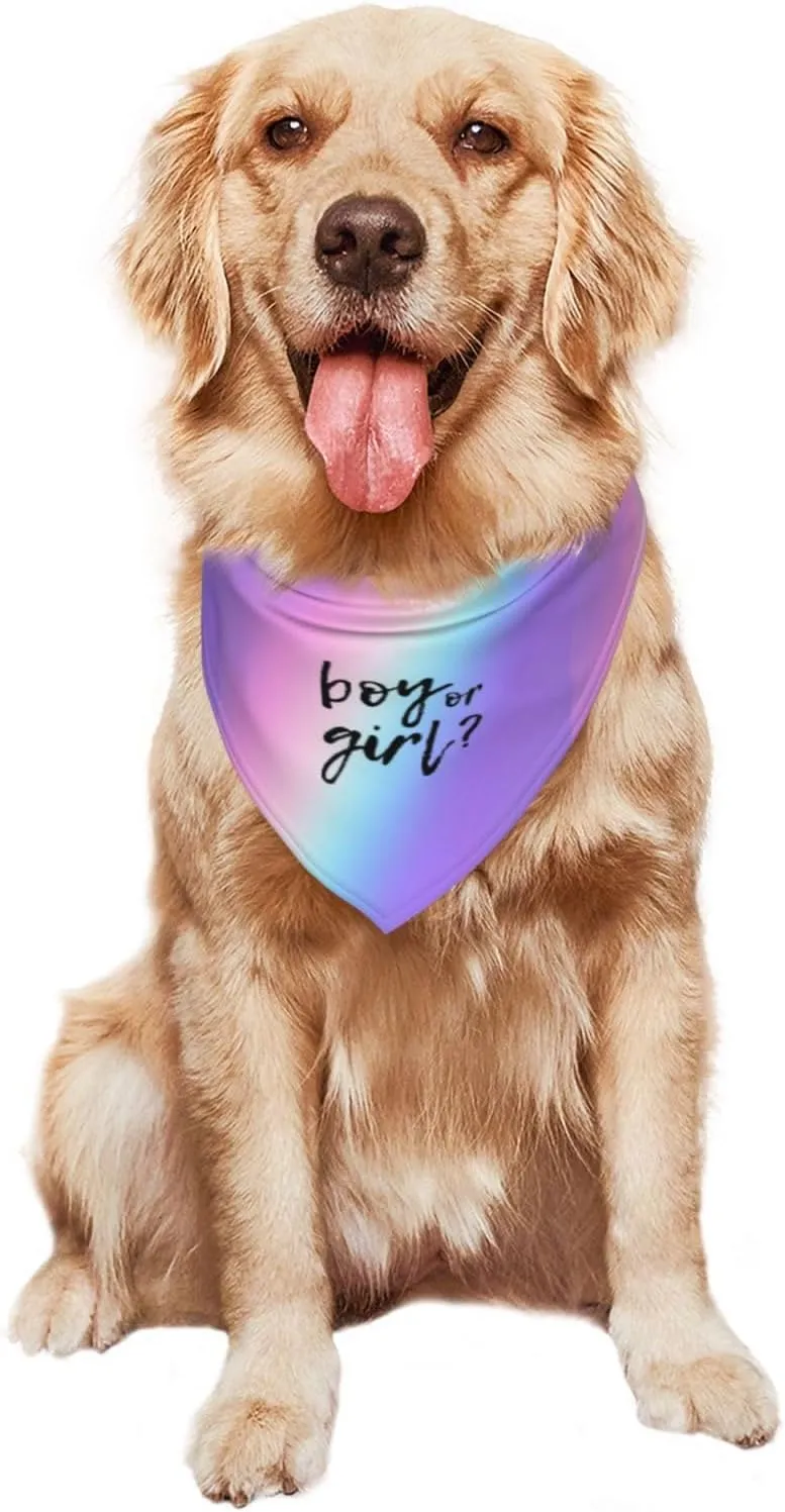 He Or She What Will It Be? Gender Reveal/Baby Announcement Dog Bandana,Pet Neckerchief for Pets Daily Wear Photo Prop Party Supplies (Colorful)