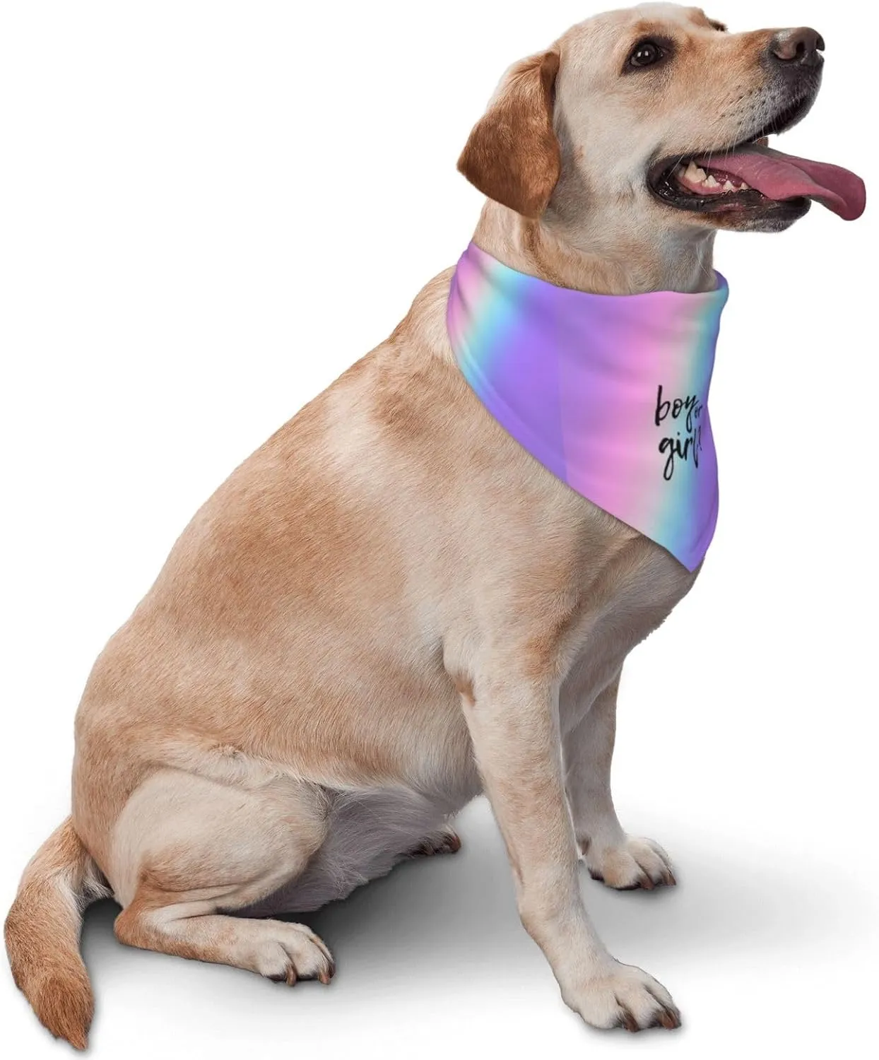 He Or She What Will It Be? Gender Reveal/Baby Announcement Dog Bandana,Pet Neckerchief for Pets Daily Wear Photo Prop Party Supplies (Colorful)