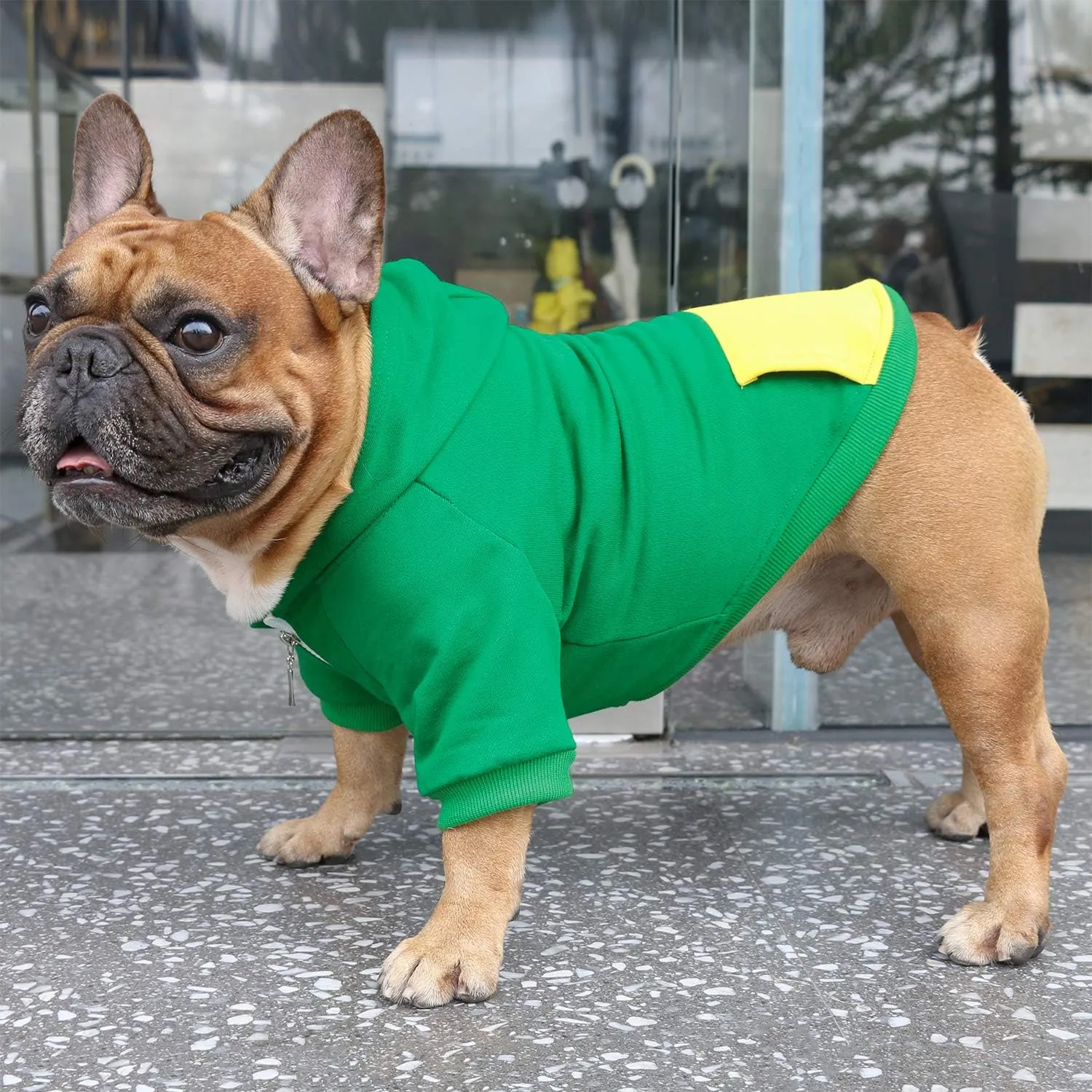 iChoue French Bulldog Frenchie Clothes Hoodies for Dogs Pug English Boston Terrier Bully Pitbull Corgi Sweatshirt Sweater Clothing - Green/Large Plus
