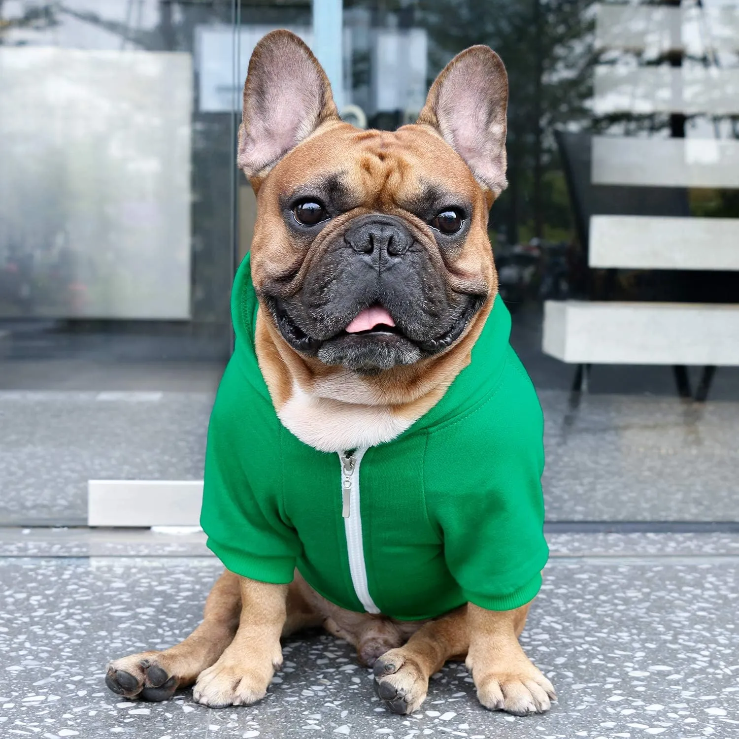 iChoue French Bulldog Frenchie Clothes Hoodies for Dogs Pug English Boston Terrier Bully Pitbull Corgi Sweatshirt Sweater Clothing - Green/Large Plus