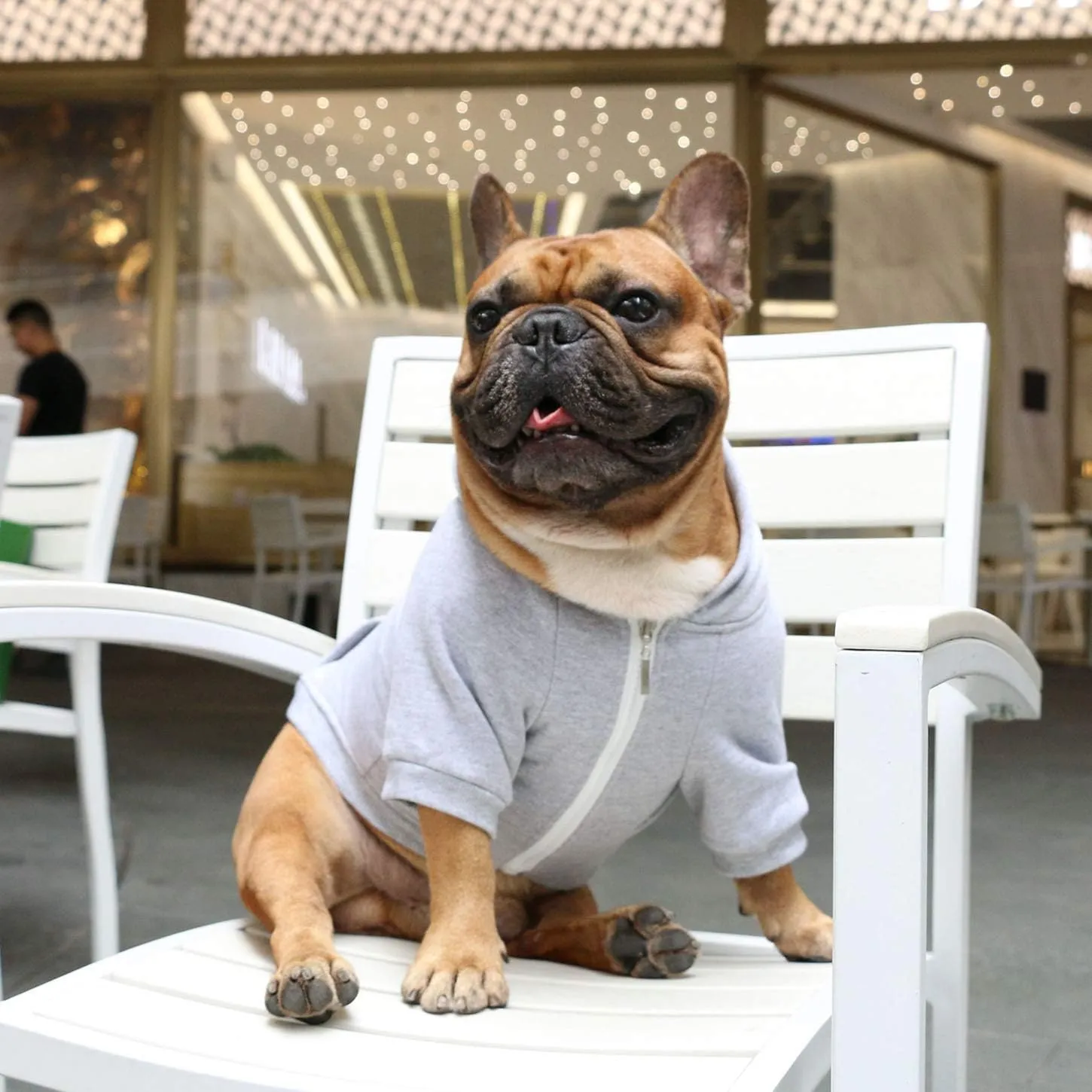 iChoue French Bulldog Frenchie Clothes Hoodies for Dogs Pug English Boston Terrier Bully Pitbull Corgi Sweatshirt Sweater Clothing - Grey/Large Plus
