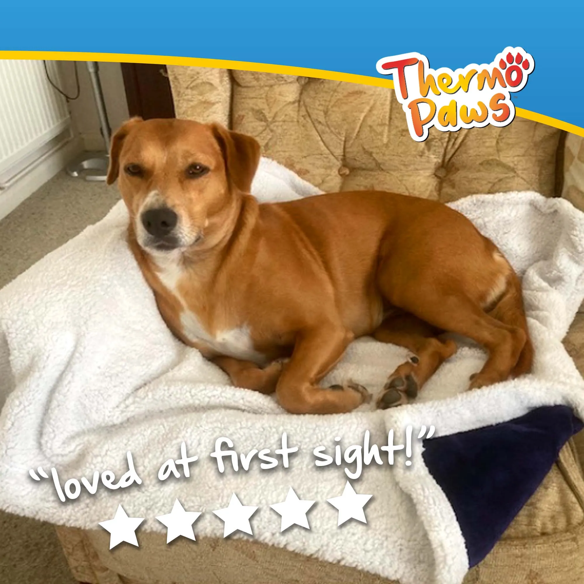 Luxury Pet Blanket (Blue) - PawPride