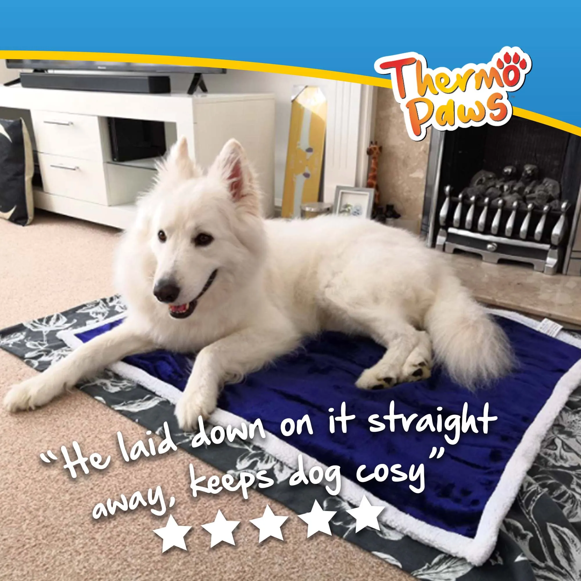 Luxury Pet Blanket (Blue) - PawPride