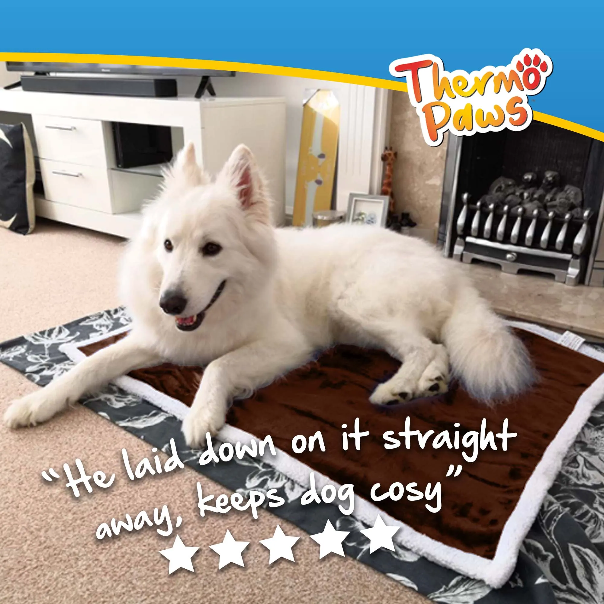 Luxury Pet Blanket (Brown) - PawPride