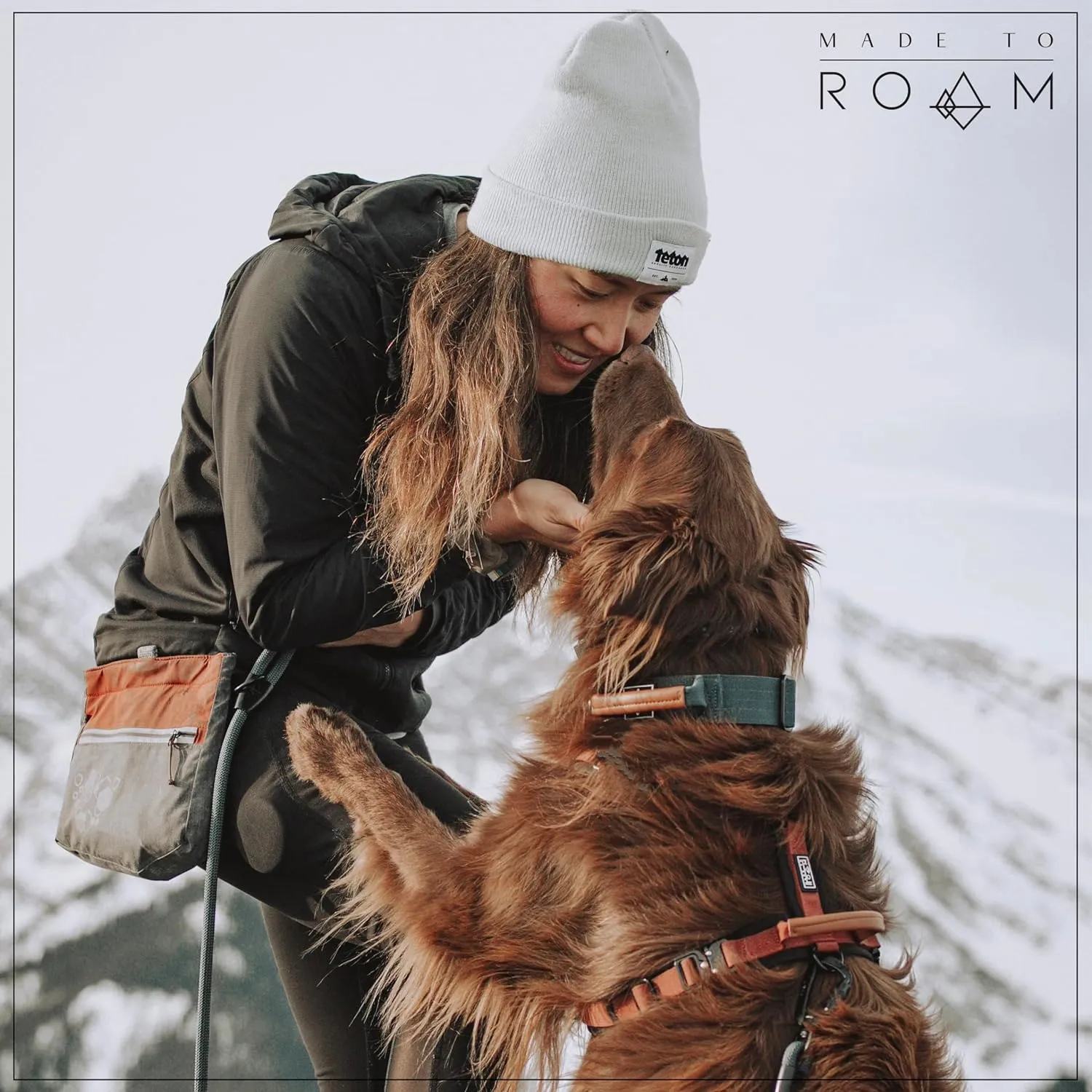 MADE TO ROAM Premium Everyday Leash - Ultra Soft Dog Leash with Aviation Aluminum Carabiner for Small, Medium, Large Dogs - California Horizon, 4ft (Rubber Coated Metal Clamps)