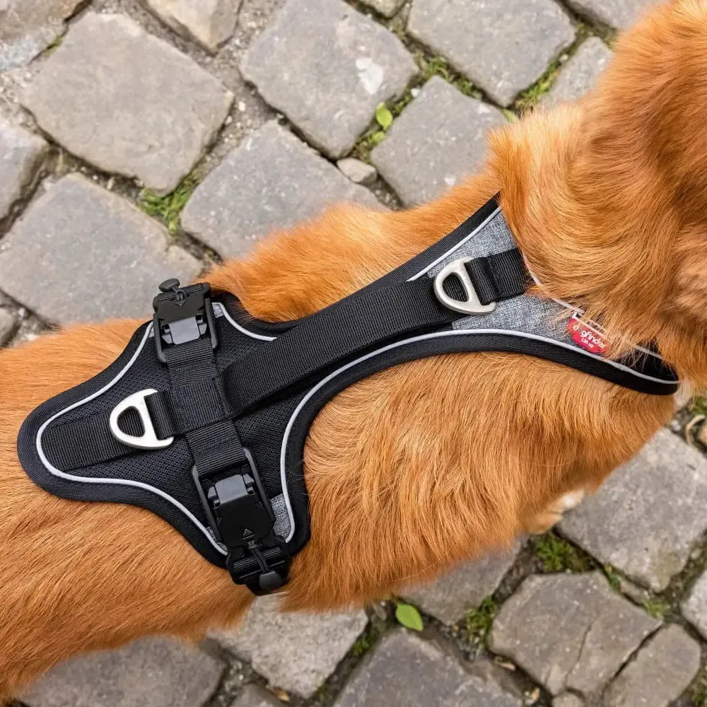 Magnetic Belka Comfort Dog Harness Adjustable Reflective Vest for Larger Dogs