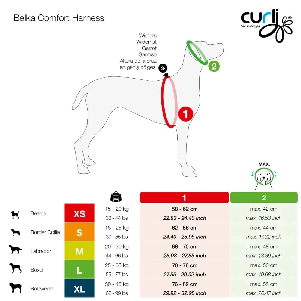 Magnetic Belka Comfort Dog Harness Adjustable Reflective Vest for Larger Dogs
