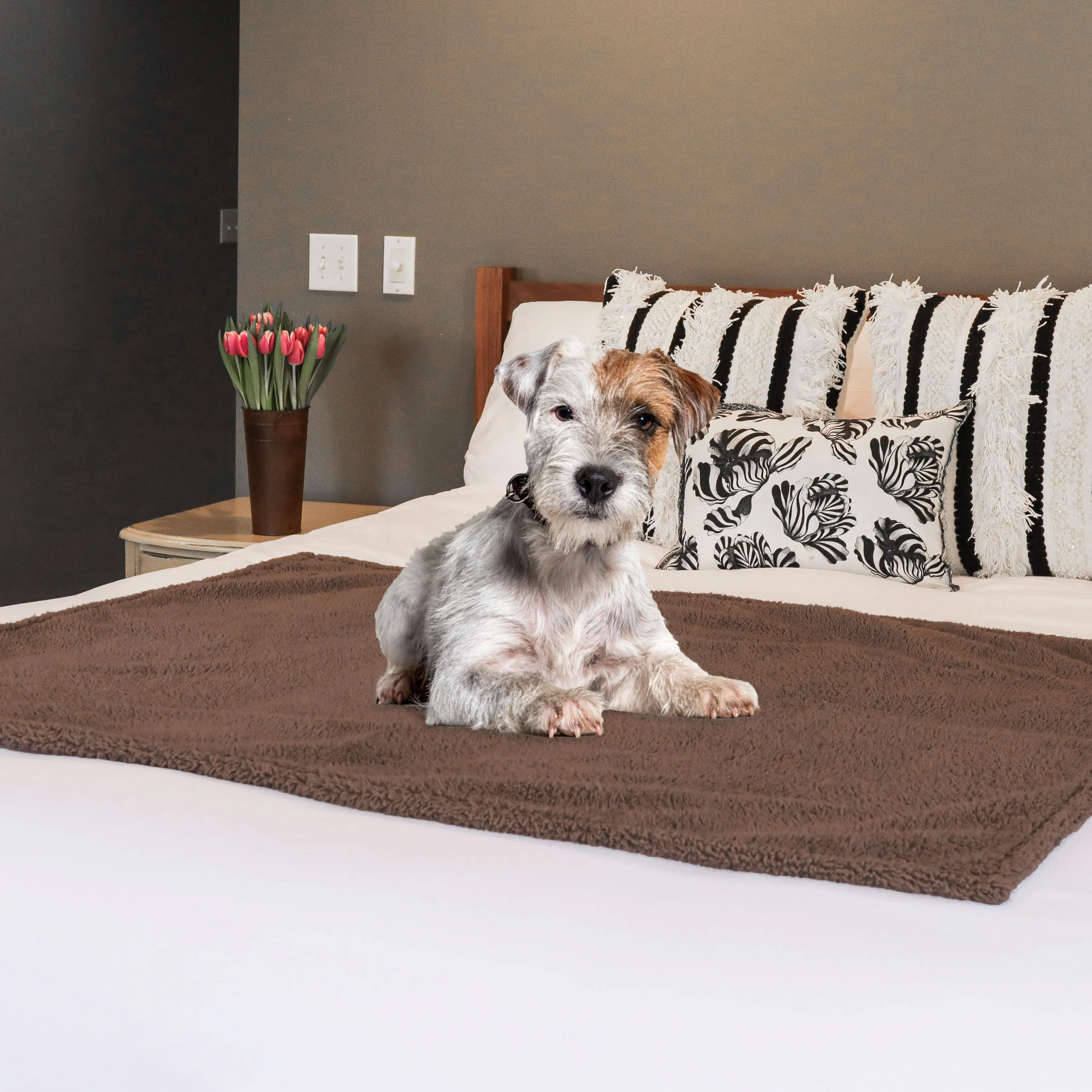 Medium Waterproof Pet Blanket, Brown, 30 x 40"
