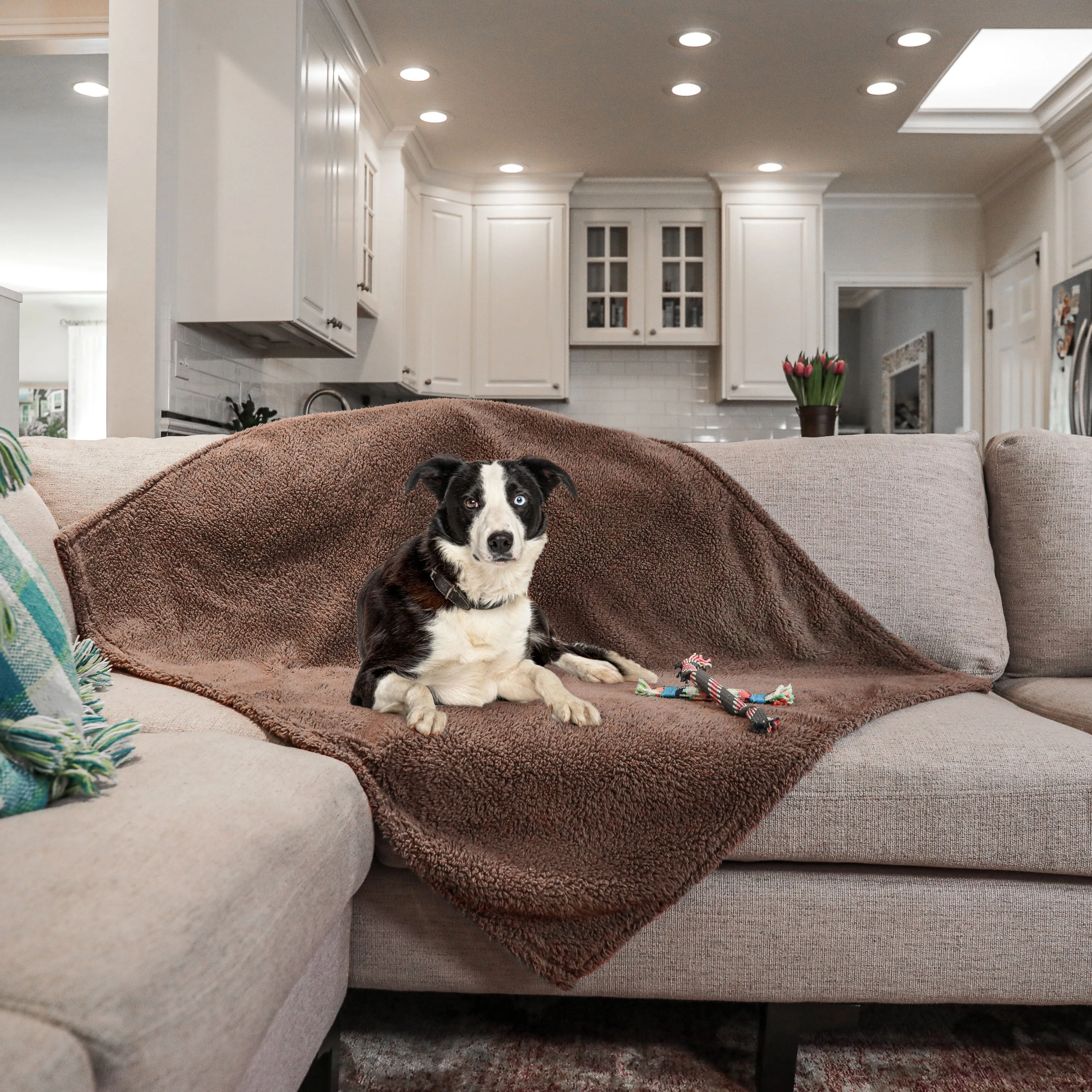 Medium Waterproof Pet Blanket, Brown, 30 x 40"