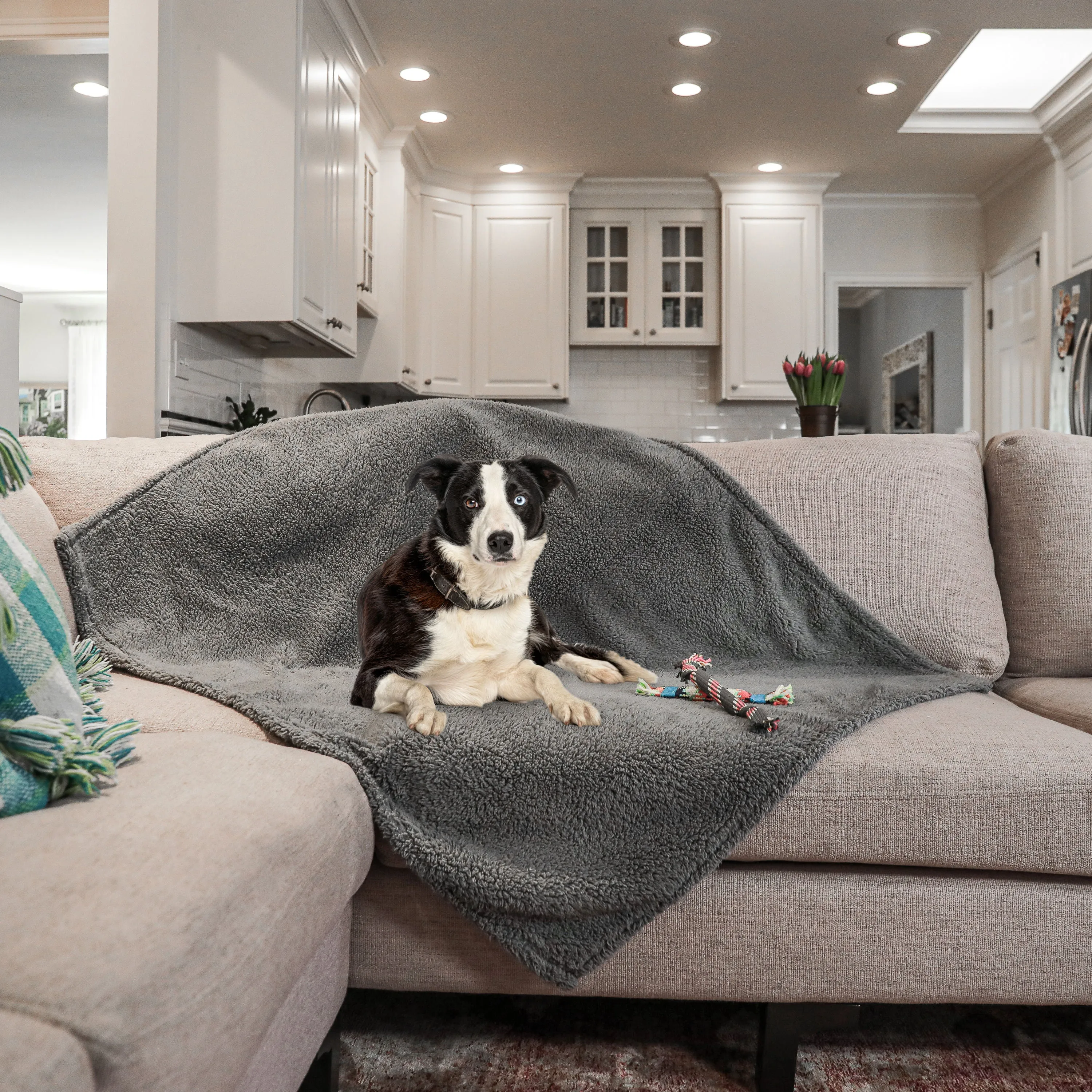 Medium Waterproof Pet Blanket, Grey, 30 x 40"