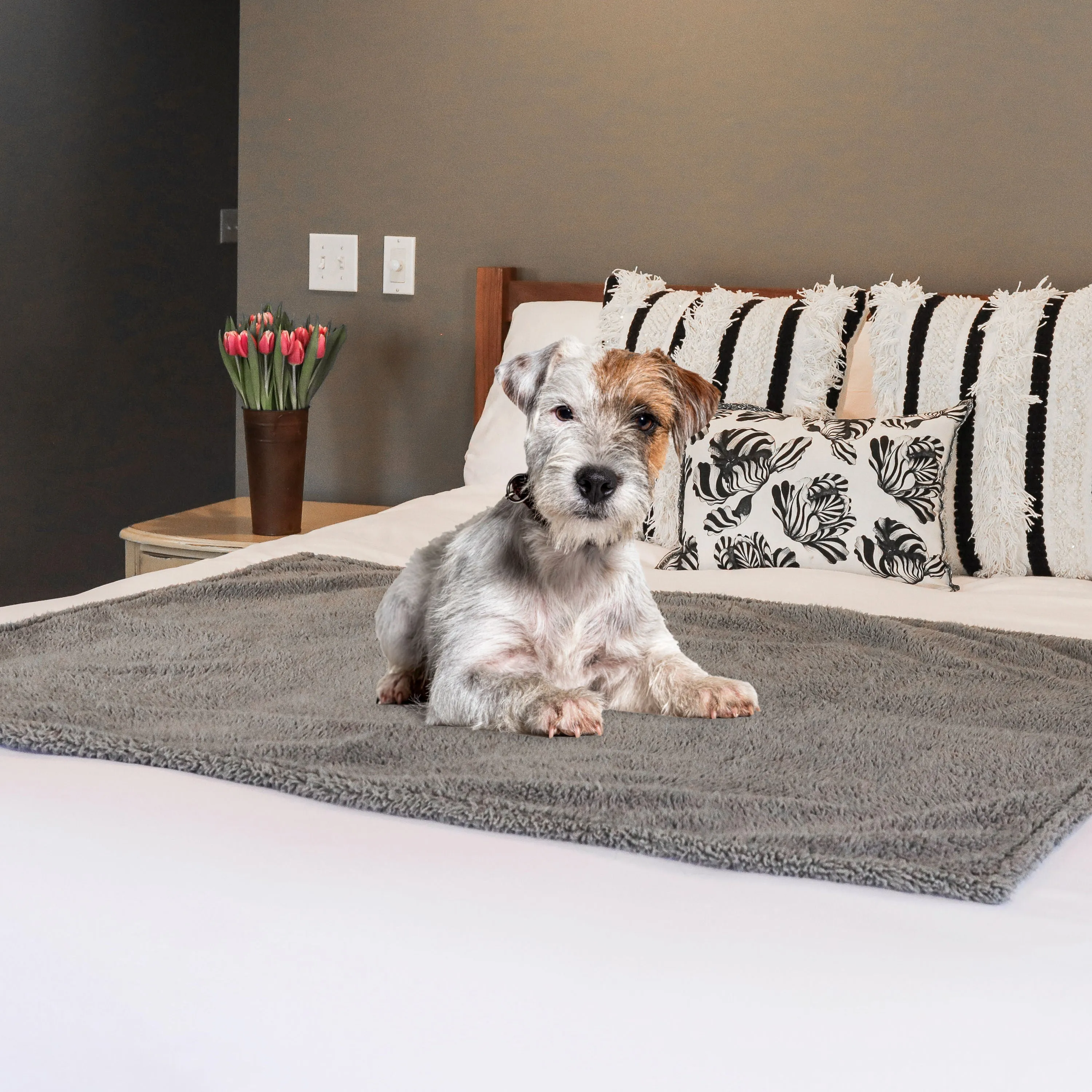 Medium Waterproof Pet Blanket, Grey, 30 x 40"