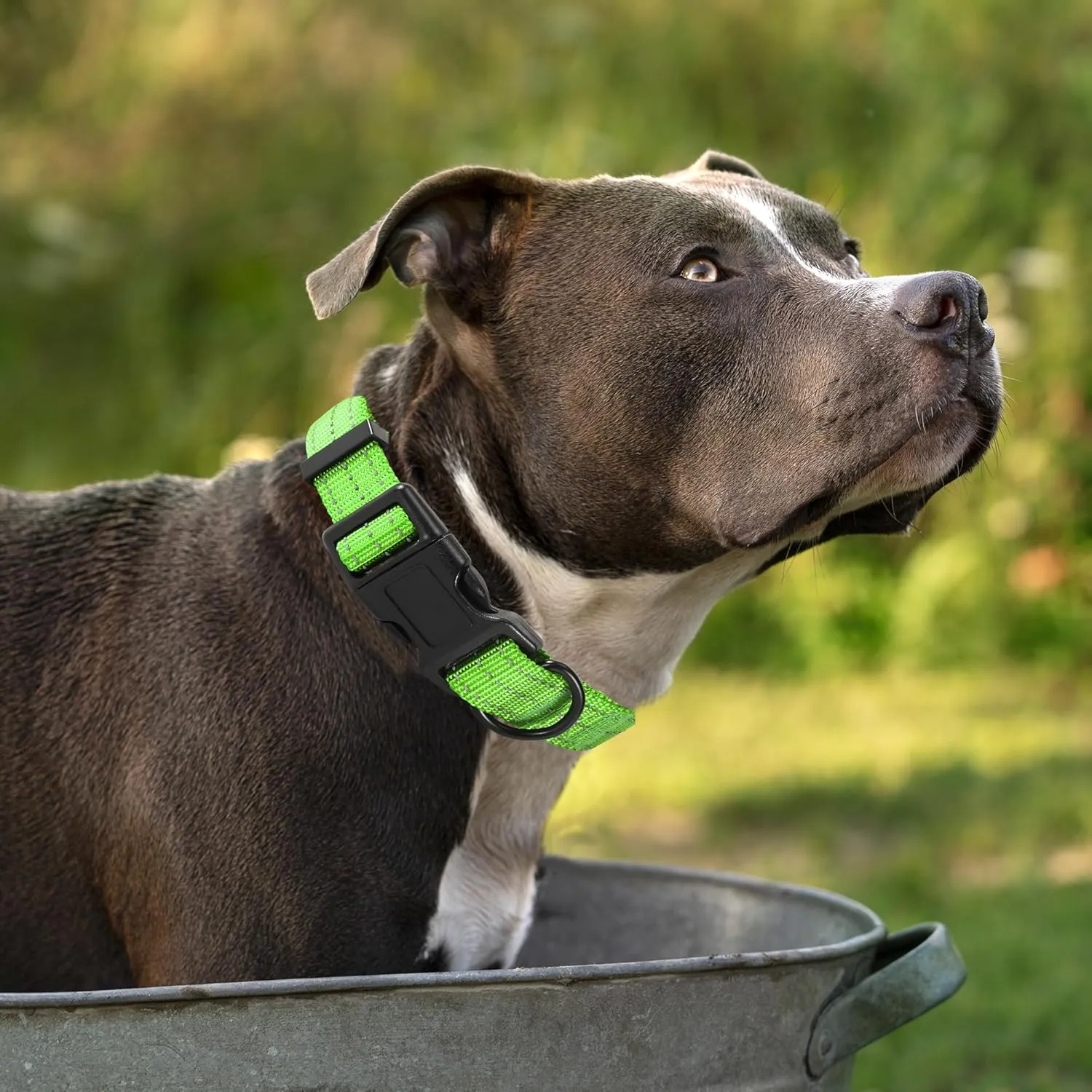 Mile High Life Night Reflective Double Adjustable Band Nylon Small Puppy Pet Dog Combo Collar Leash and Harness Set (Reflective Solid Lime Green, Mediun (Pack of 3))