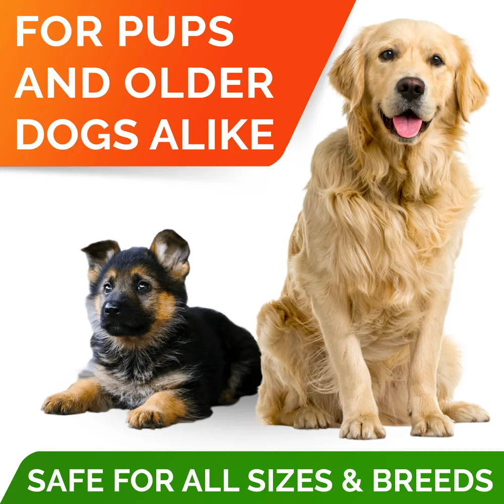 Omega Chews Salmon Oil  - Pack of 2