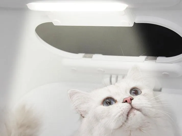 Petkit Xiaopei pet first-class drying box cat hair dryer artifact anti-bath stress essential package one-year warranty package home delivery [North American version]