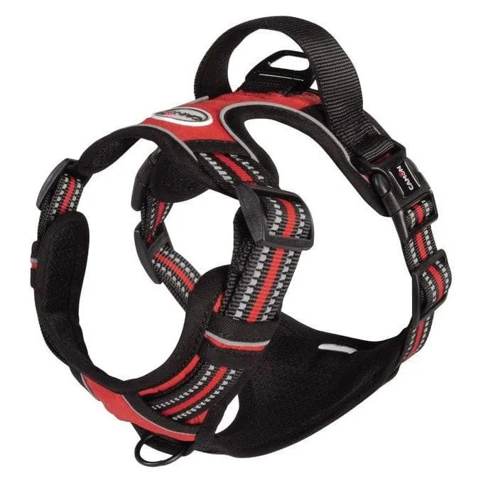 Reflective padded harness - ORANGE - XS