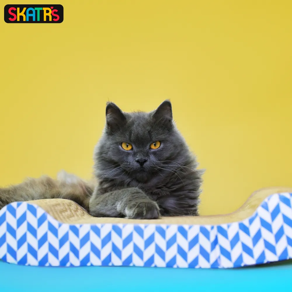 Skatrs Paw Lounge Cat Scratcher with Premium Catnip and Claw Tower Cat Tree with Hammock and Dual Scratching Post Toy Combo