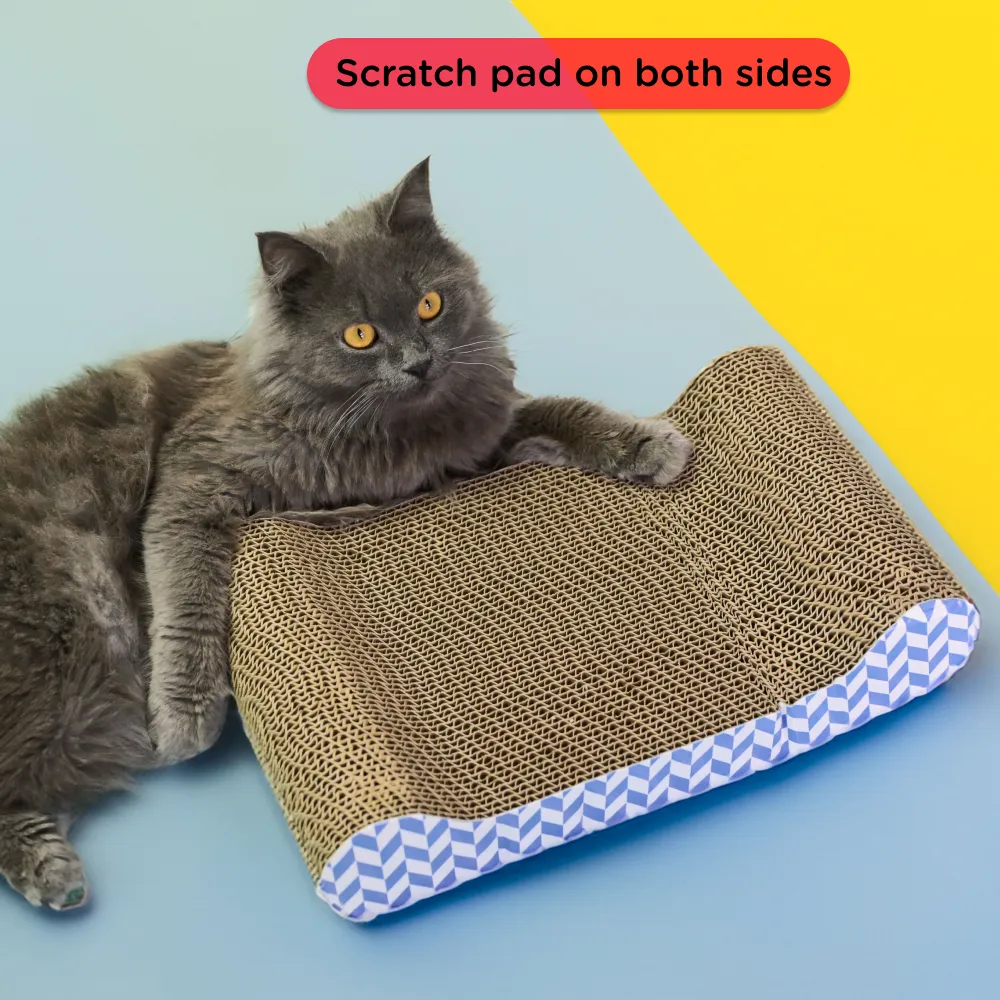 Skatrs Paw Lounge Cat Scratcher with Premium Catnip and Claw Tower Cat Tree with Hammock and Dual Scratching Post Toy Combo