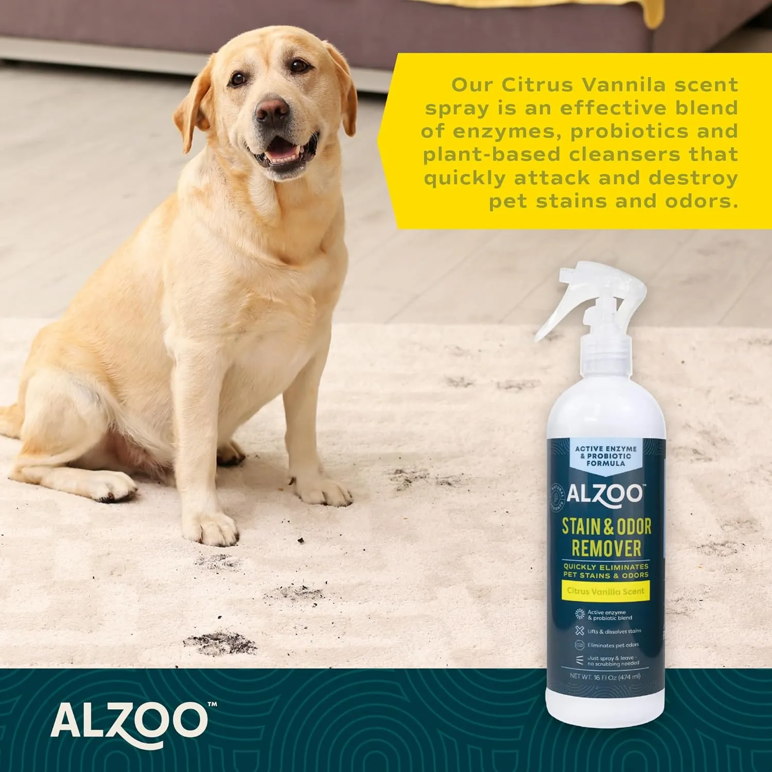 Stain & Odor Remover, Quickly Lifts & Dissolves Pet Stains & Helps Eliminate Odors, 100% Plant-Based Active Ingredients, Citrus Vanilla Scent, 16 Fl. Oz Spray Bottle